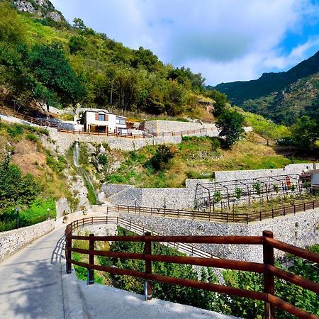 Tenuta Bosco-Casa Vacanze Четара Экстерьер фото