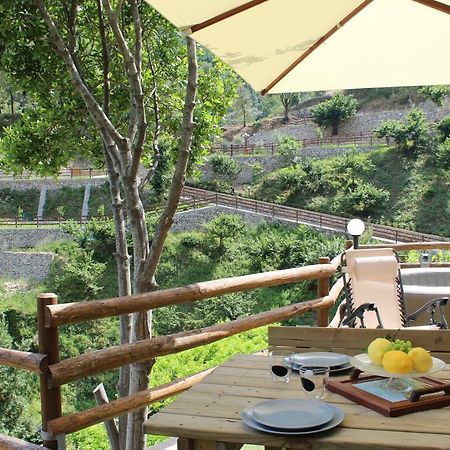 Tenuta Bosco-Casa Vacanze Четара Экстерьер фото