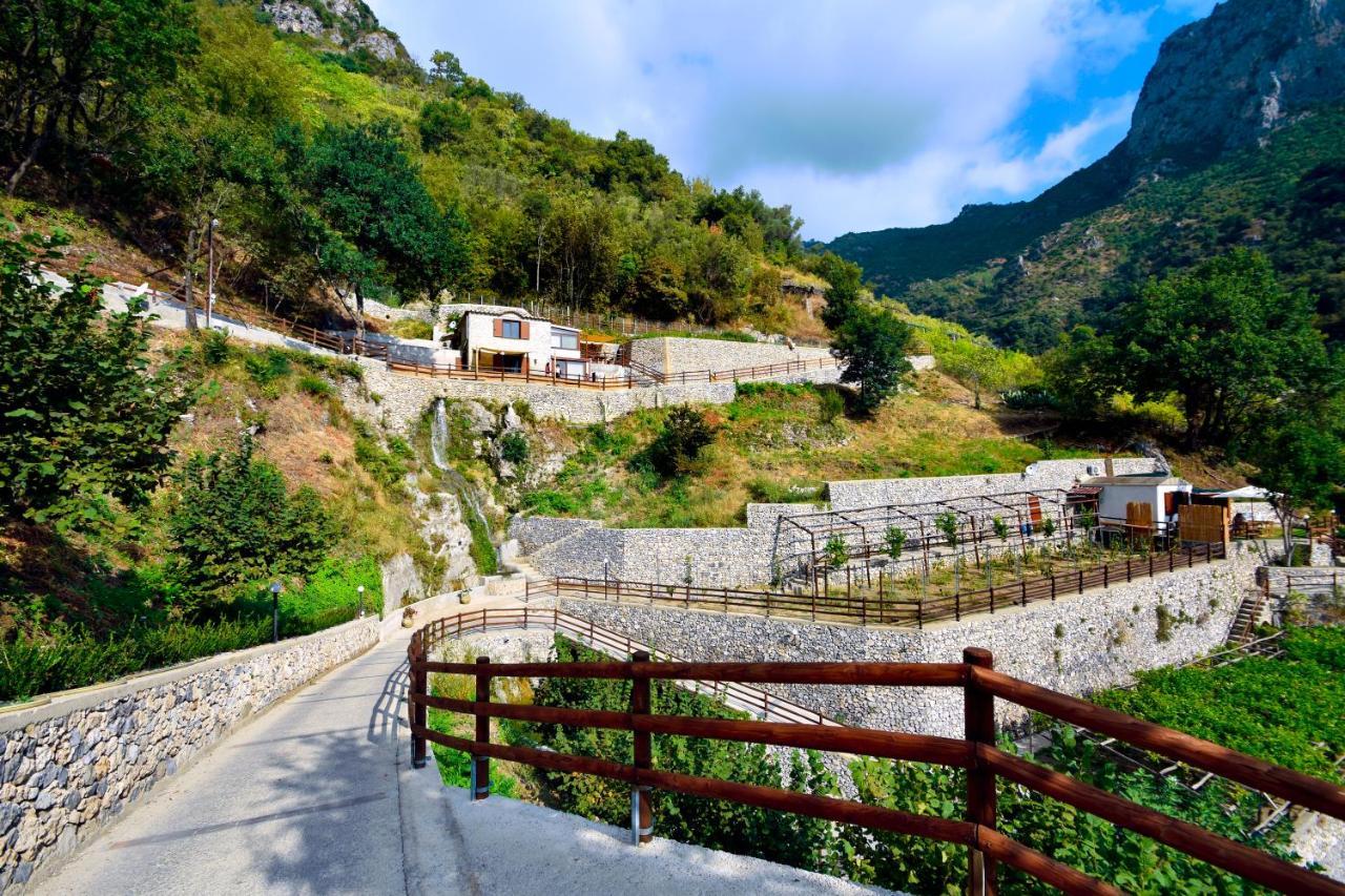 Tenuta Bosco-Casa Vacanze Четара Экстерьер фото