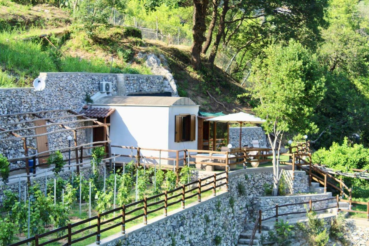 Tenuta Bosco-Casa Vacanze Четара Экстерьер фото