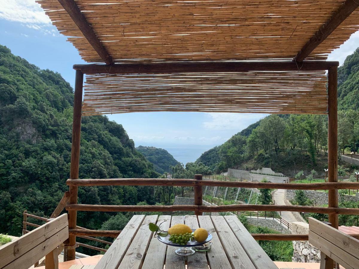 Tenuta Bosco-Casa Vacanze Четара Экстерьер фото