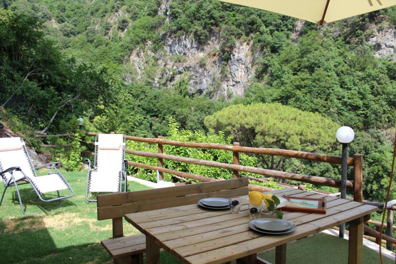 Tenuta Bosco-Casa Vacanze Четара Экстерьер фото