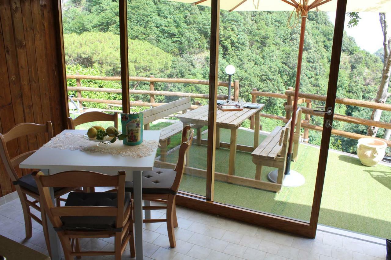 Tenuta Bosco-Casa Vacanze Четара Экстерьер фото