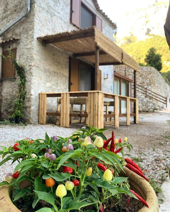 Tenuta Bosco-Casa Vacanze Четара Экстерьер фото